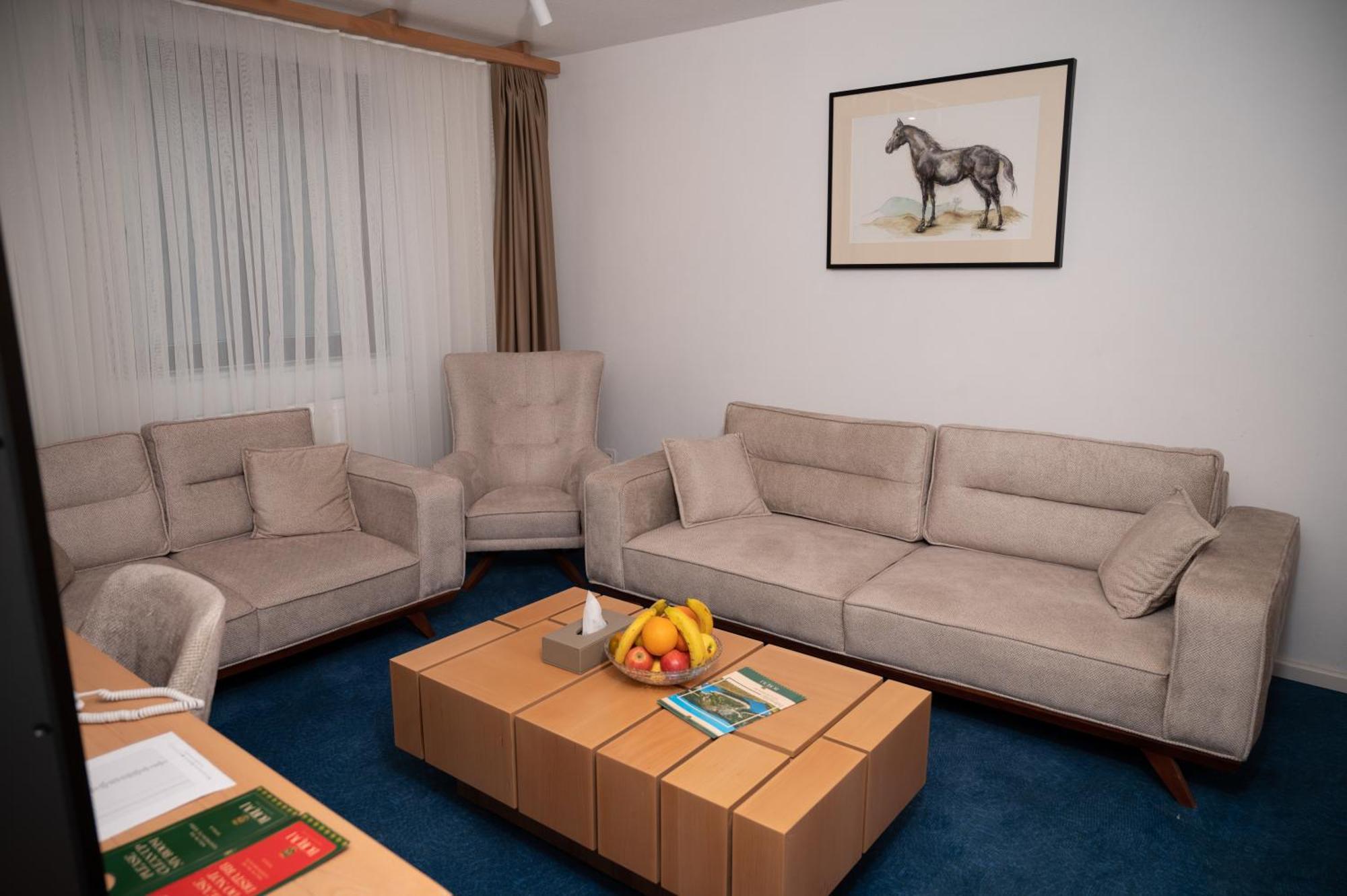 Hotel Borovi Forest Resort & Spa Sjenica Buitenkant foto